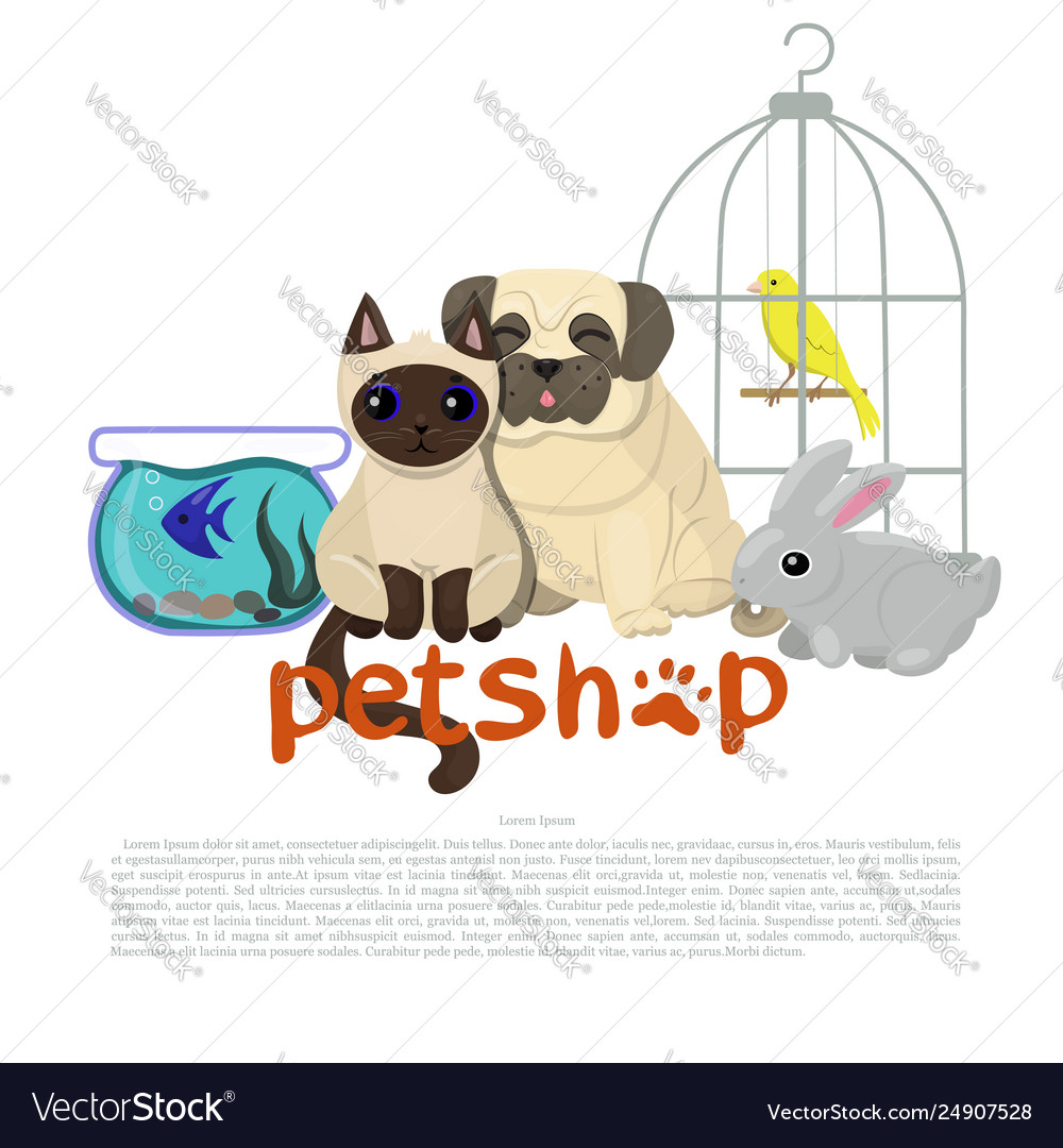 pug pet shop