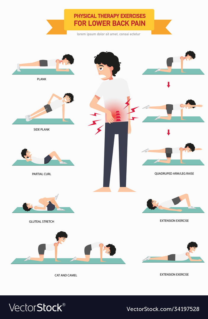 Physical therapy exercises for lower back pain Vector Image