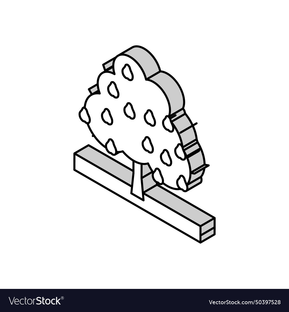 Tree pear isometric icon
