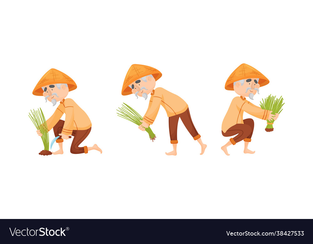 Asian man farmer in straw conical hat planting Vector Image