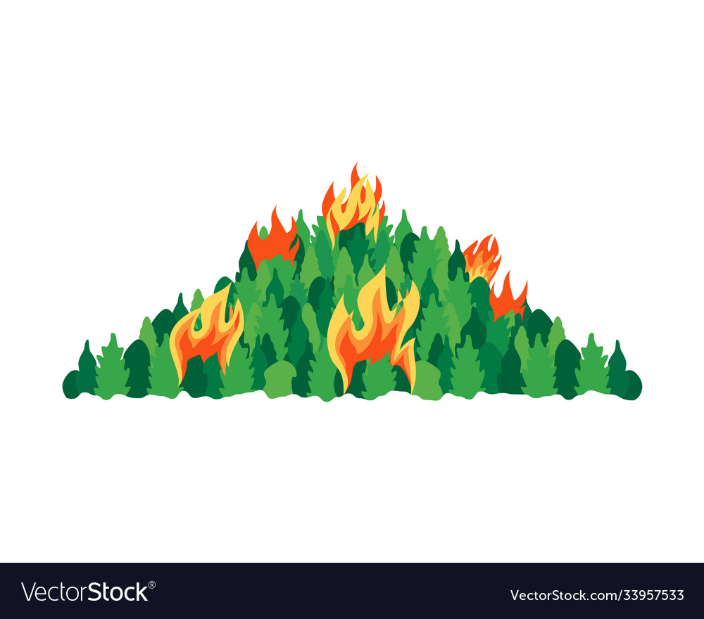 Forest fires disaster trees flat icon