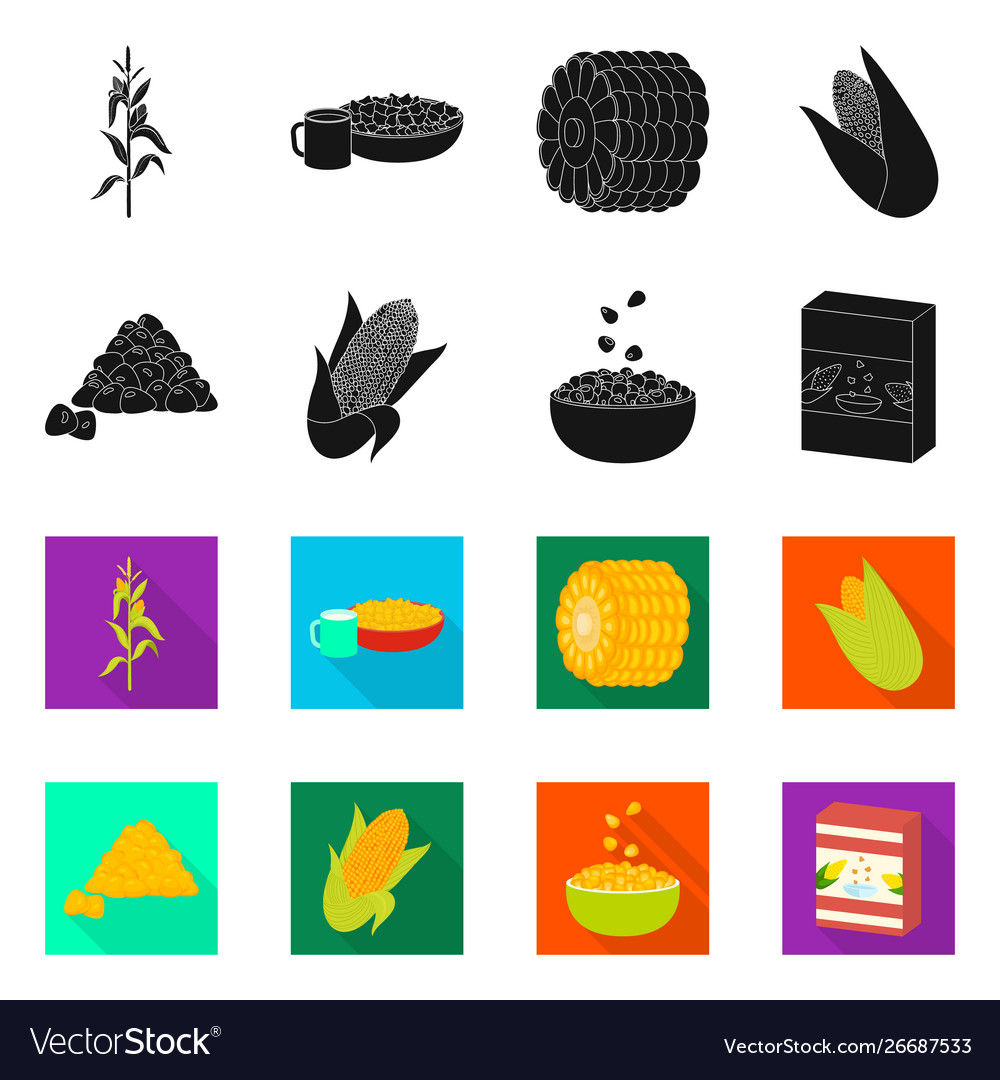 Isolated object cornfield and vegetable icon vector image Isolated object cornfield and vegetable icon