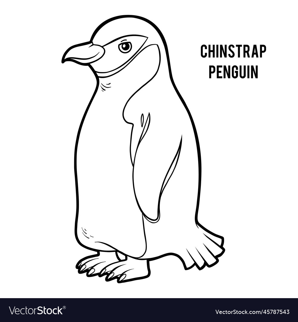 Coloring book chinstrap penguin Royalty Free Vector Image