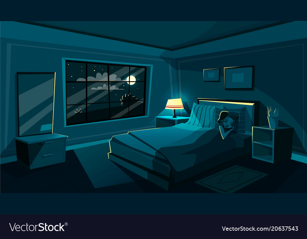 Cute Young Woman Sleeping Bedroom At Night Vector Image 8297