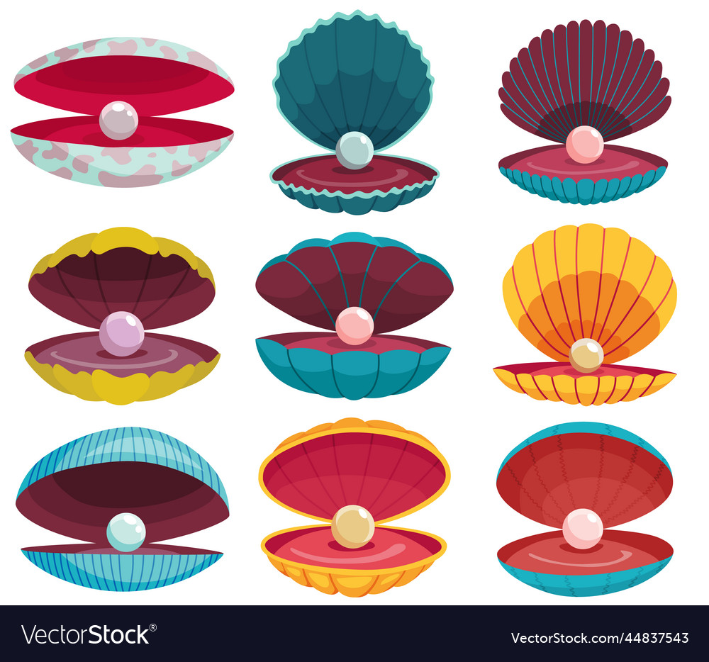 Pearls in seashell open seashells scallop vector image Pearls in seashell open seashells scallop