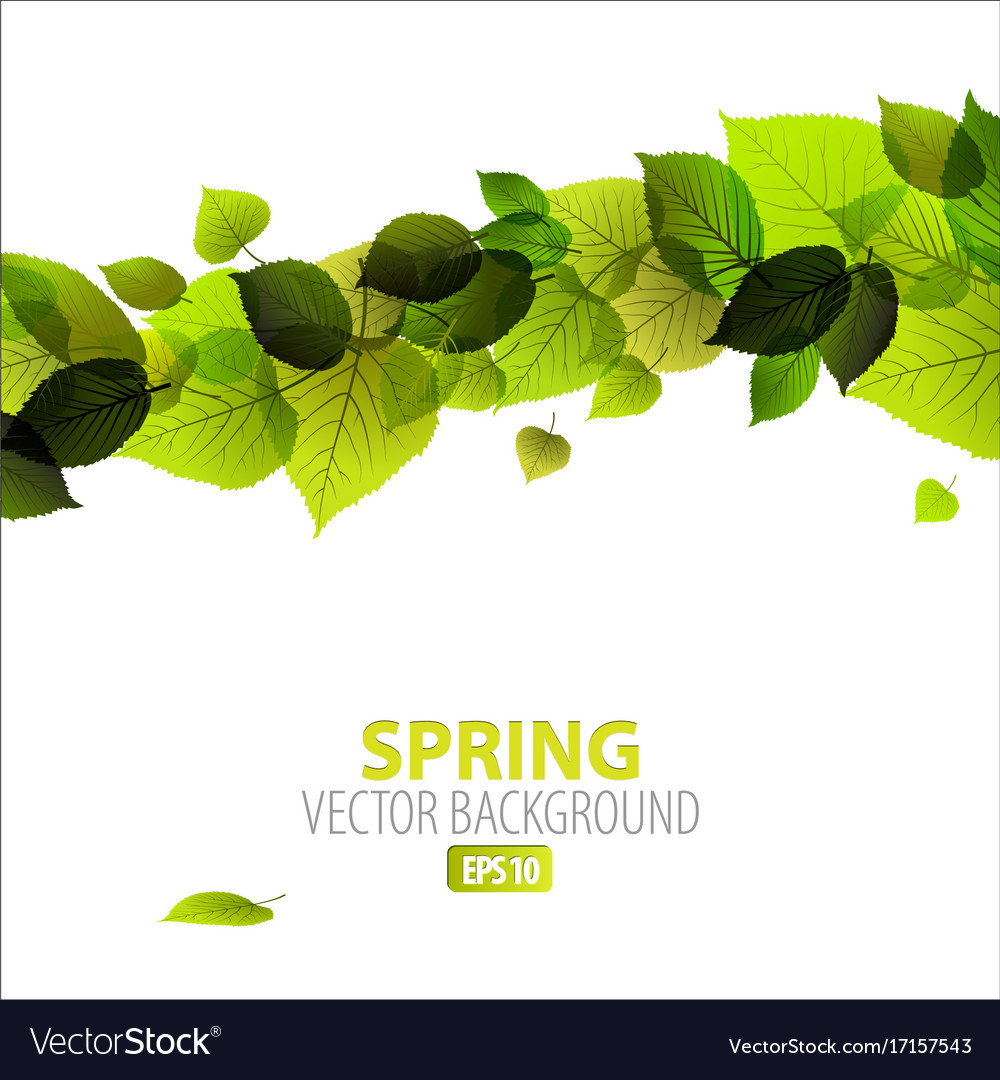 Spring abstract floral background