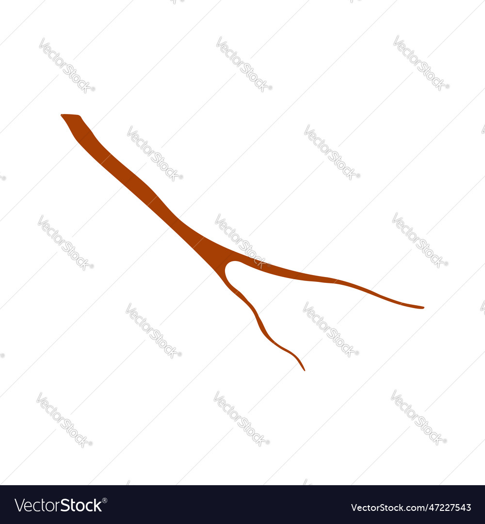 Tree branch twig hand drawn