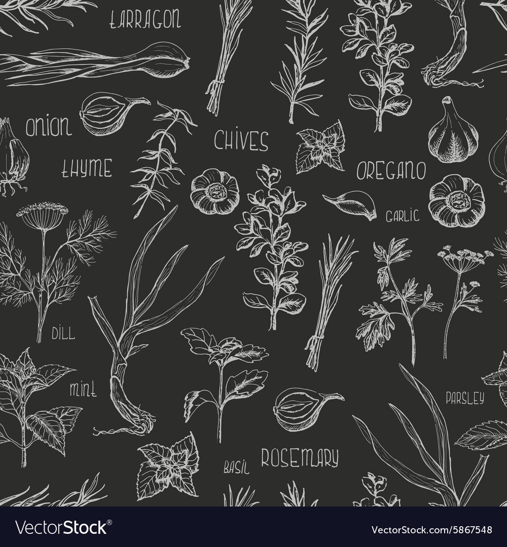 Herb & Spice Pattern - Dark Background
