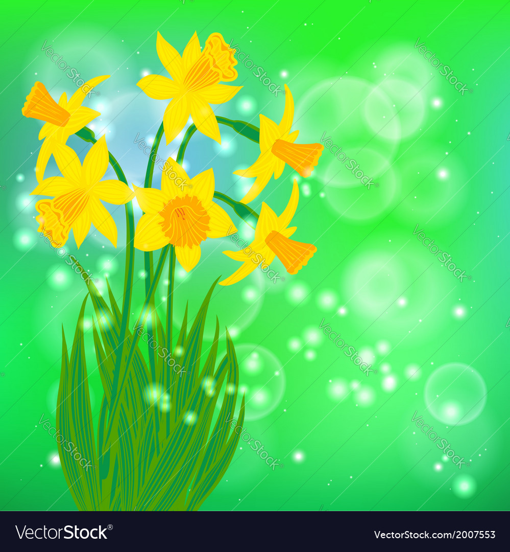 Card with daffodils on light green bokeh