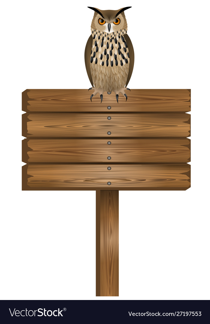 Owl over rectangular wooden sign