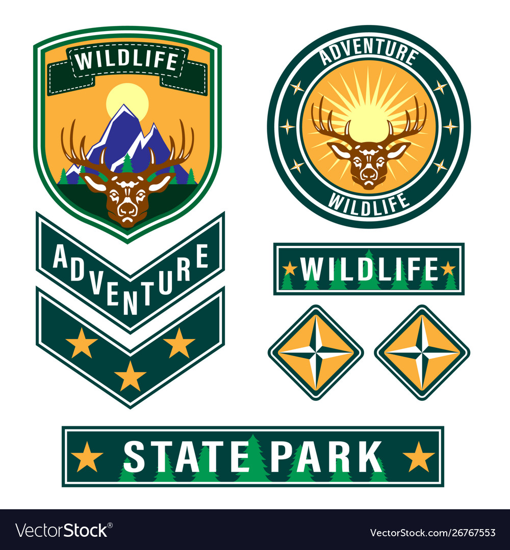Patch forest camp