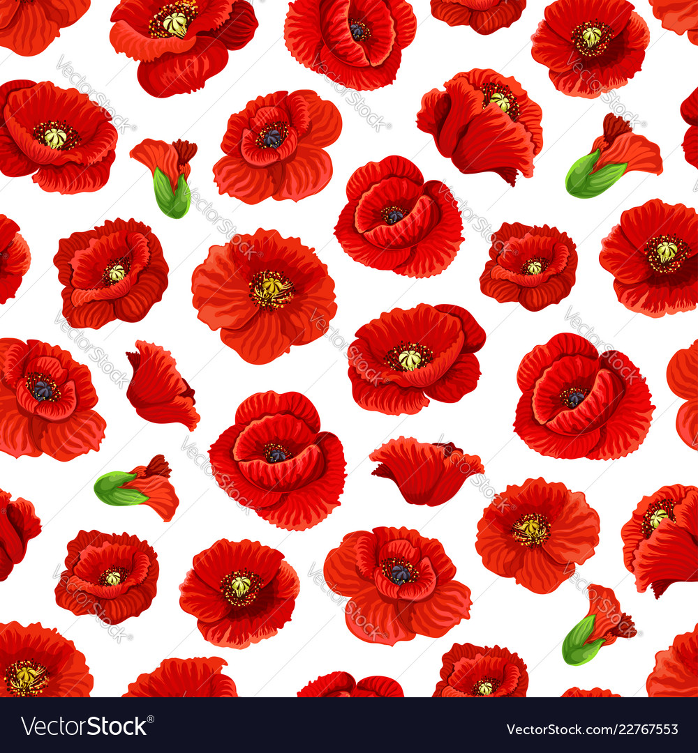 Poppy Flowers Seamless Pattern Royalty Free Vector Image