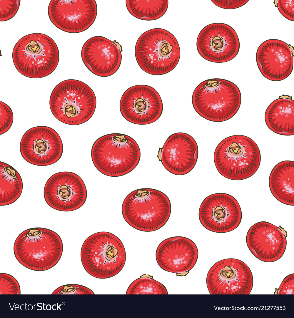 Seamless pattern with cranberry