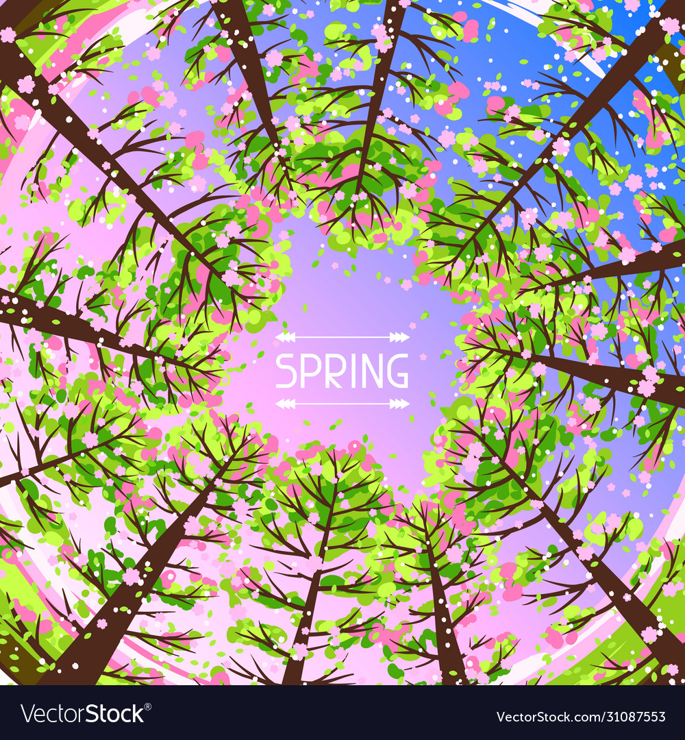 Spring forest background with stylized trees vector image Spring forest background with stylized trees