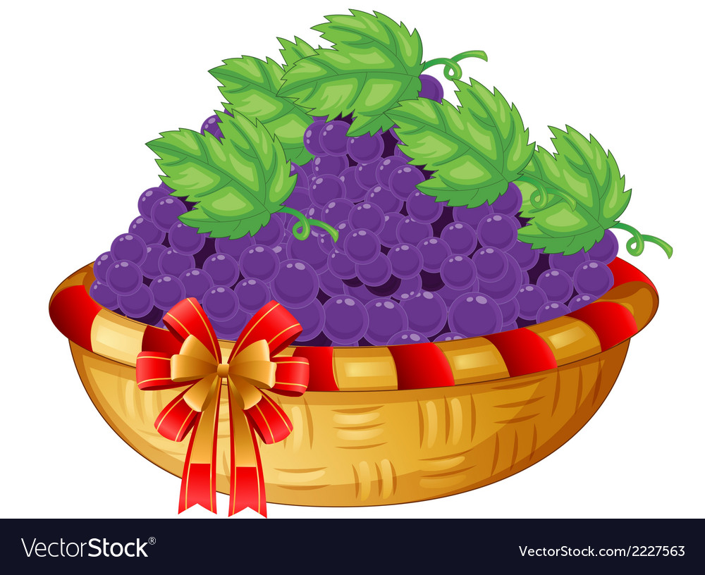 A basket of grapes Royalty Free Vector Image VectorStock