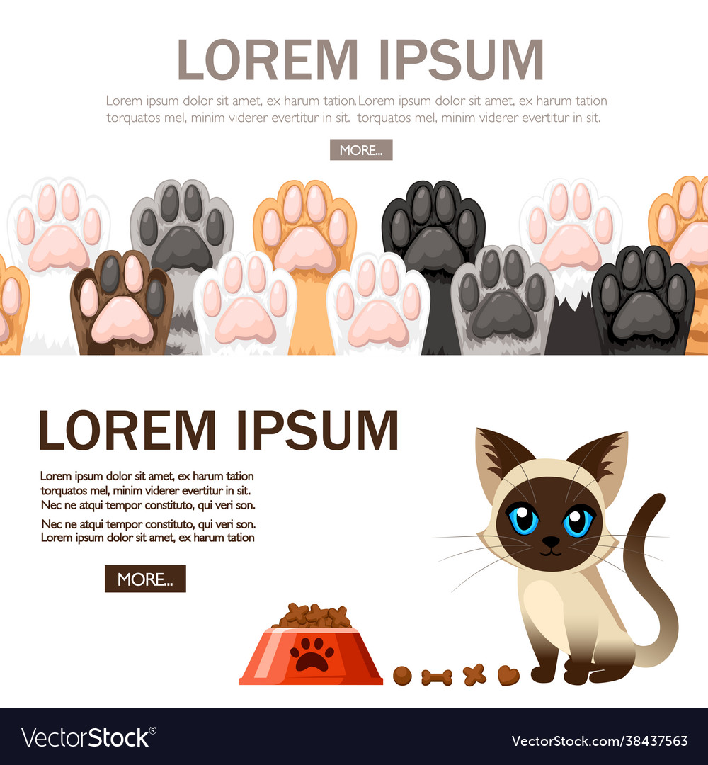 Different color cat paws icon collection cute cat Vector Image