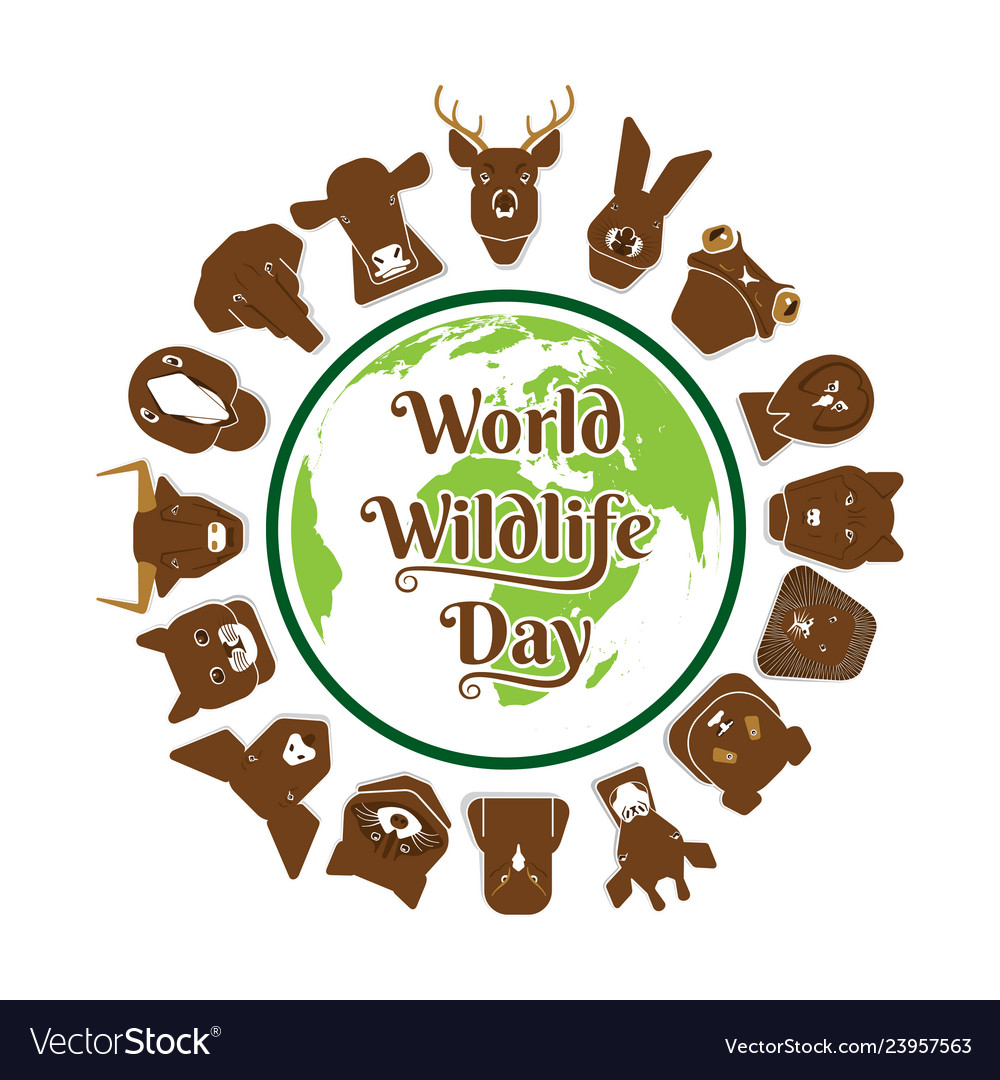 World wildlife day poster design Royalty Free Vector Image