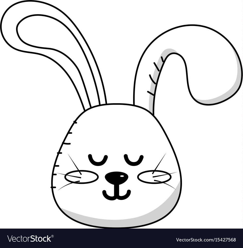 Cute Teddy Rabbit Head