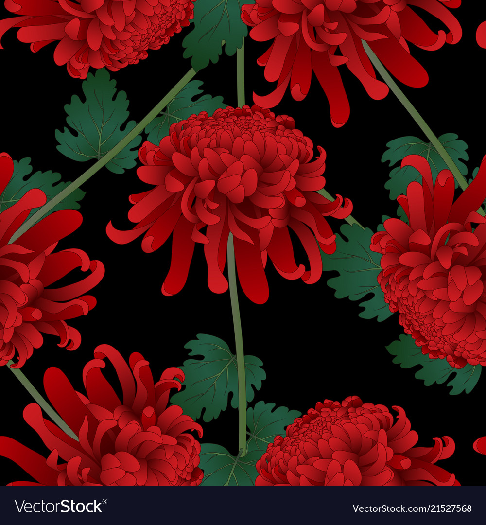 Red chrysanthemum deals