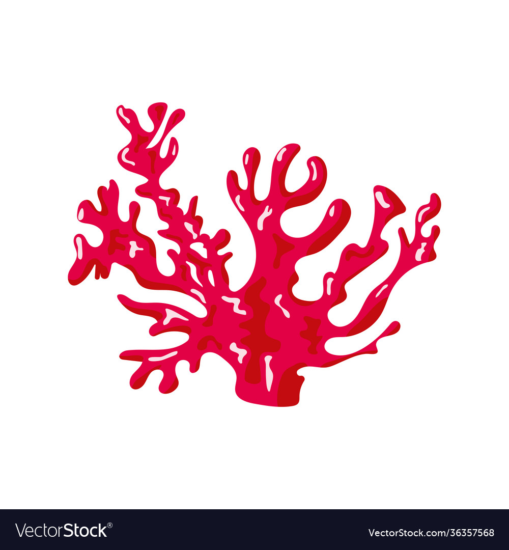 Red coral sea life nature icon Royalty Free Vector Image