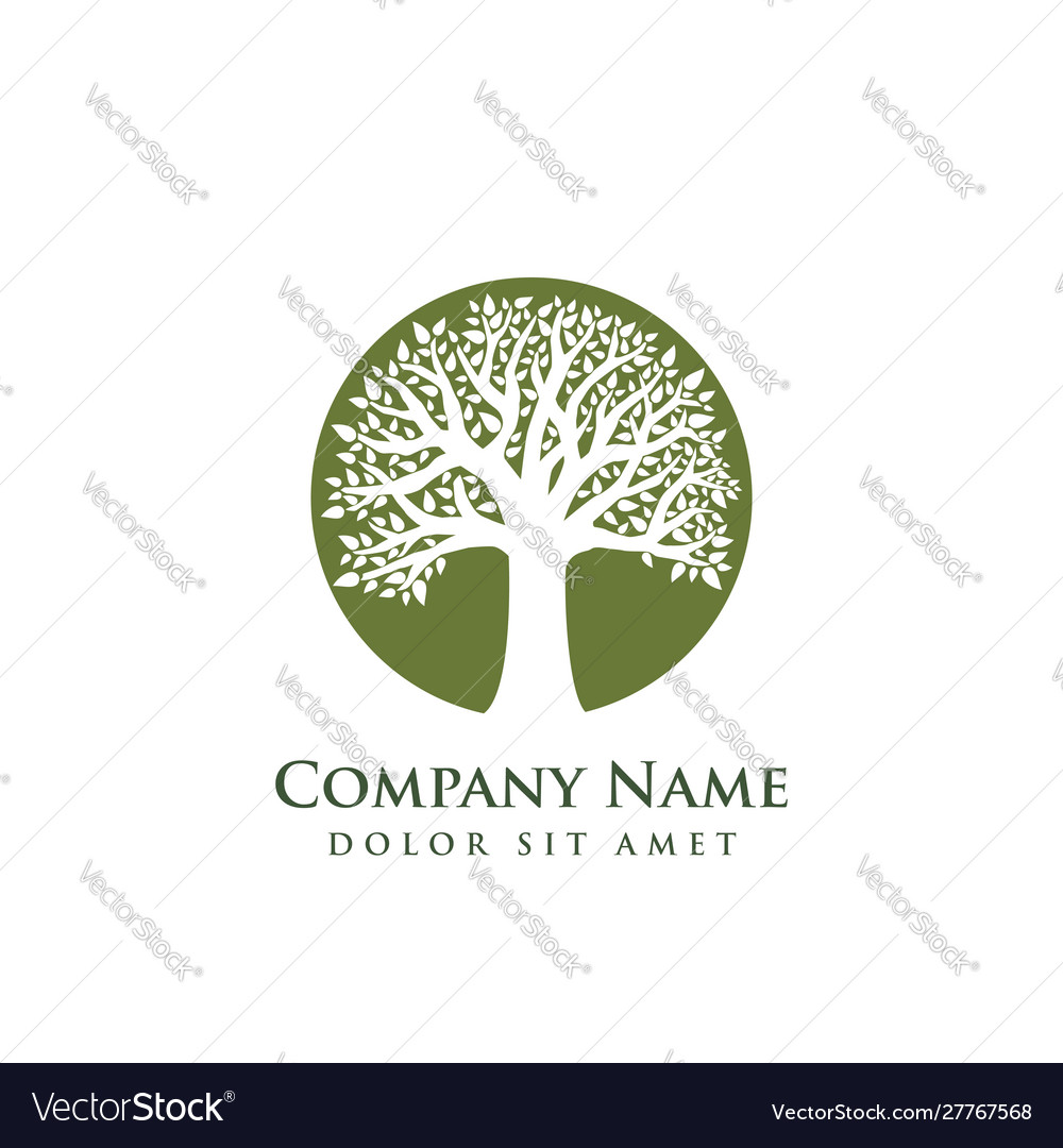 Root tree logo design Royalty Free Vector Image