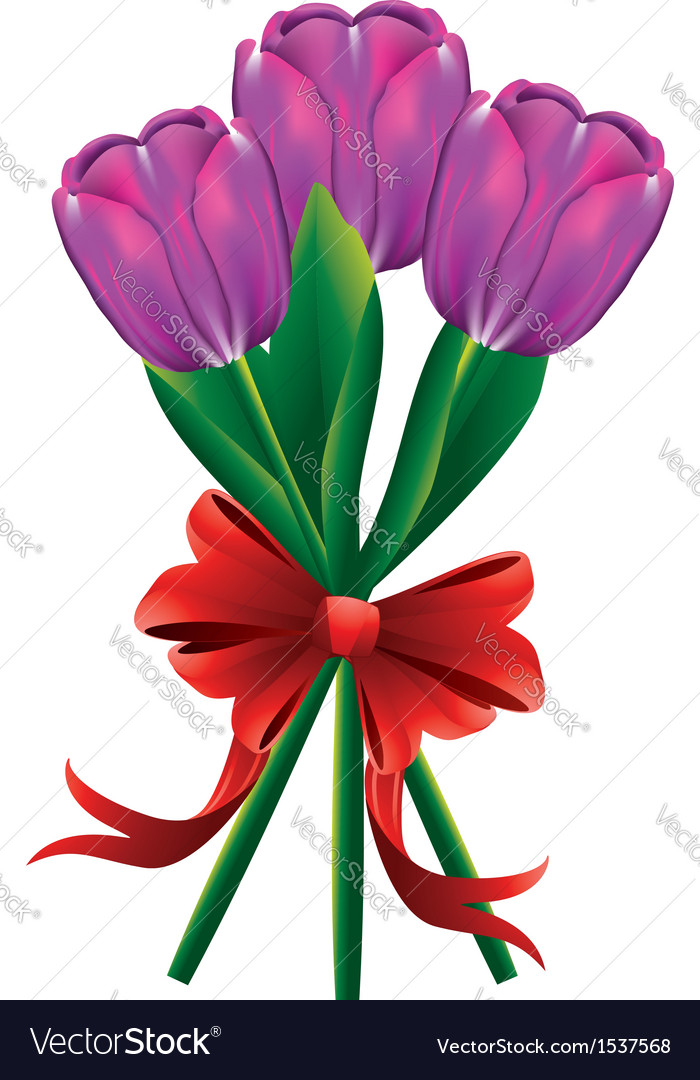 Tulip bouquet with red bow2