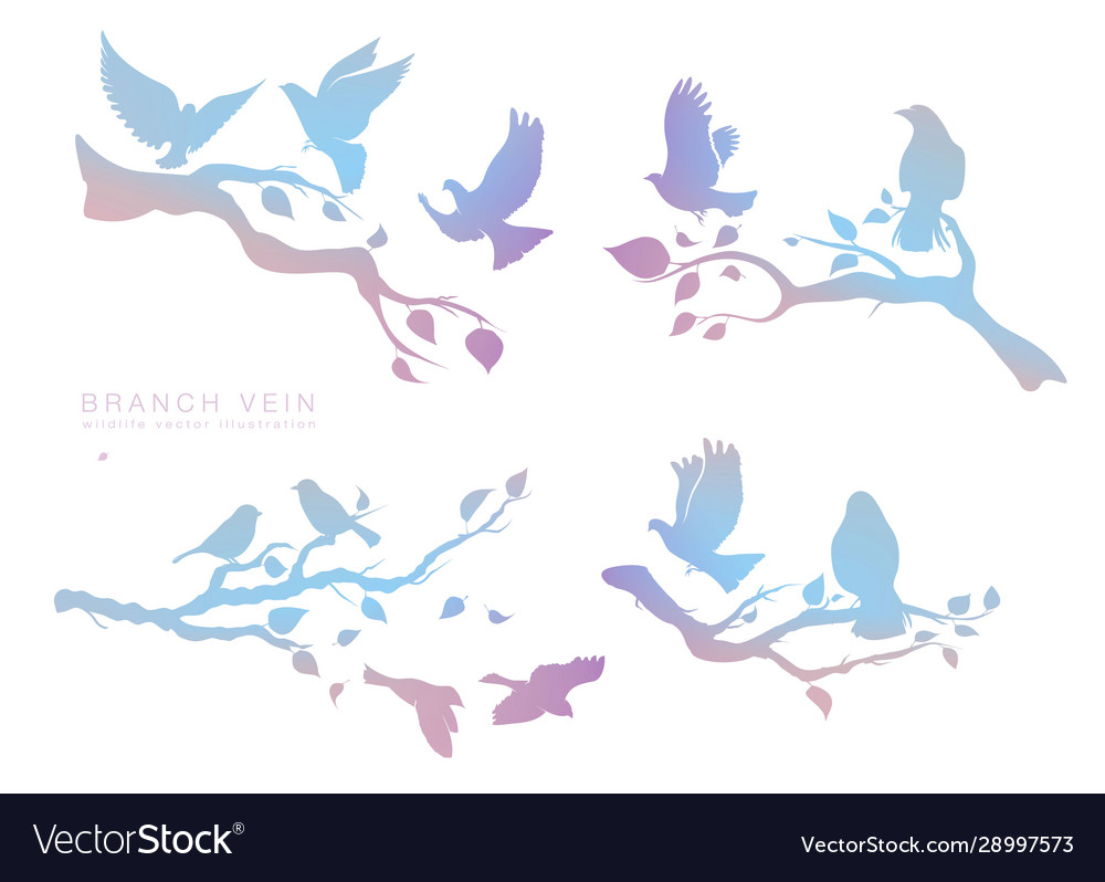 Figure set multicolored flock flying birds vector image Figure set multicolored flock flying birds