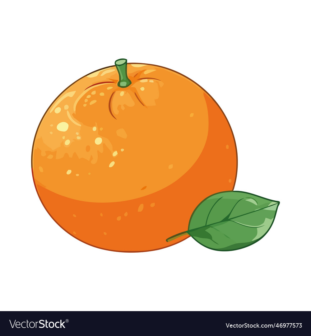 Juicy orange symbolizes healthy eating Royalty Free Vector