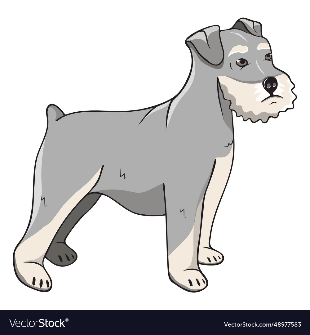 Schnauzer dog side Royalty Free Vector Image - VectorStock