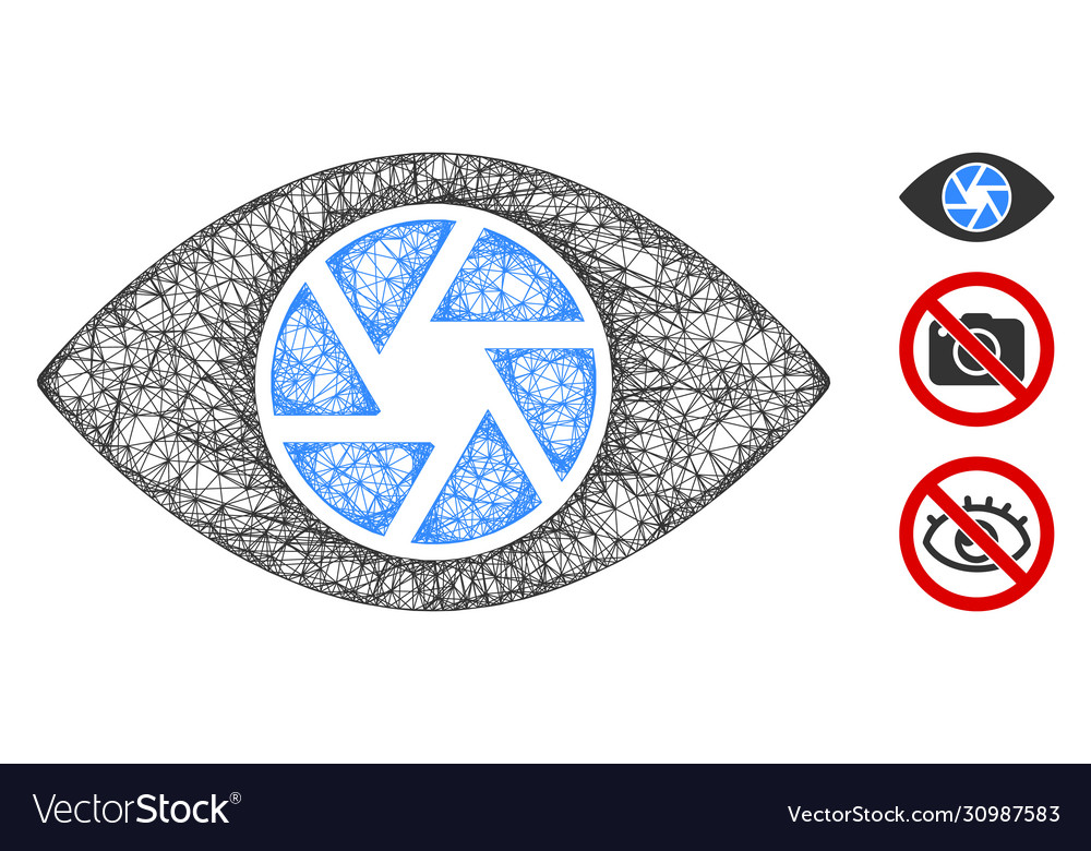 Shutter eye polygonal web mesh vector image Shutter eye polygonal web mesh