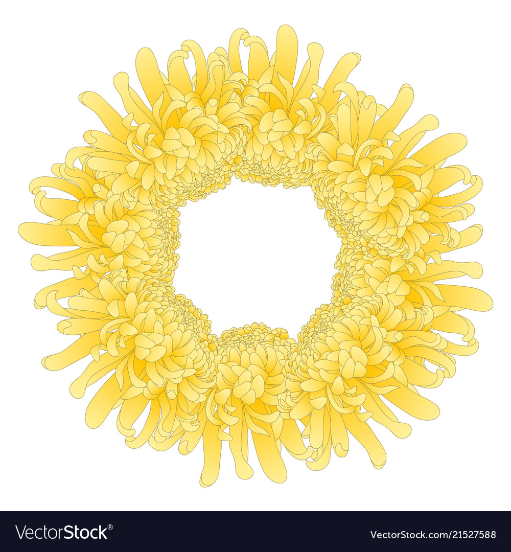 Yellow Chrysanthemum Flower Wreath Royalty Free Vector Image