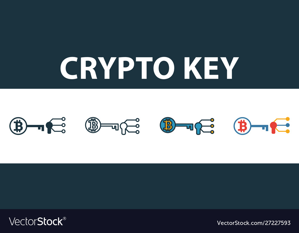Crypto key icon set premium symbol in different Vector Image