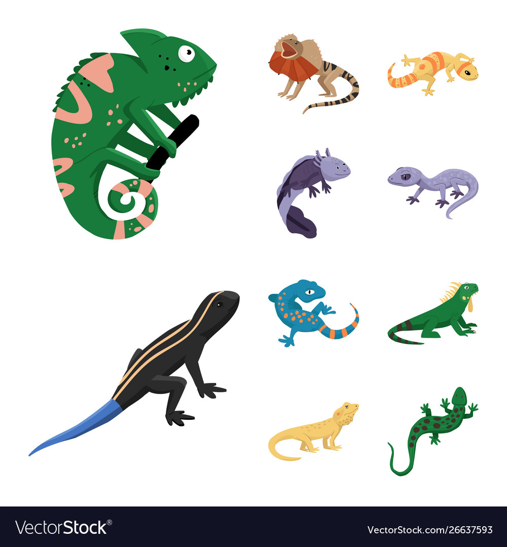 Isolated Object Animal And Reptile Sign Royalty Free Vector