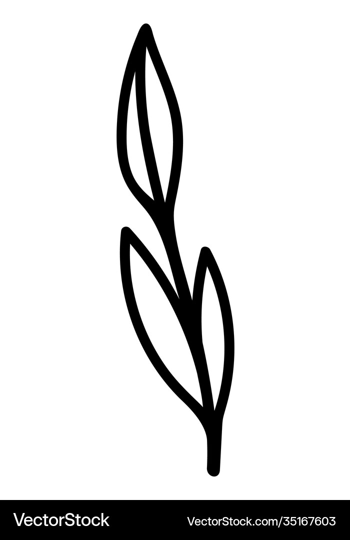 A drawn leaf on white background Royalty Free Vector Image