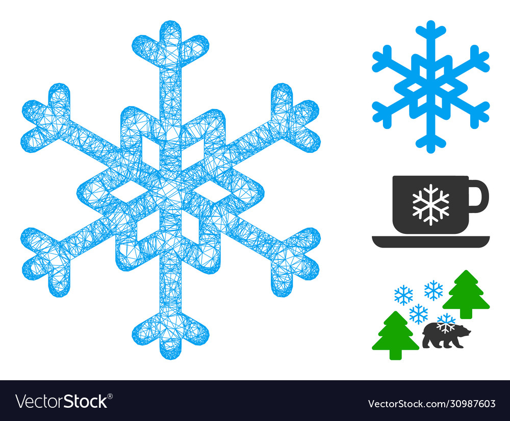 Snowflake polygonal web mesh vector image Snowflake polygonal web mesh