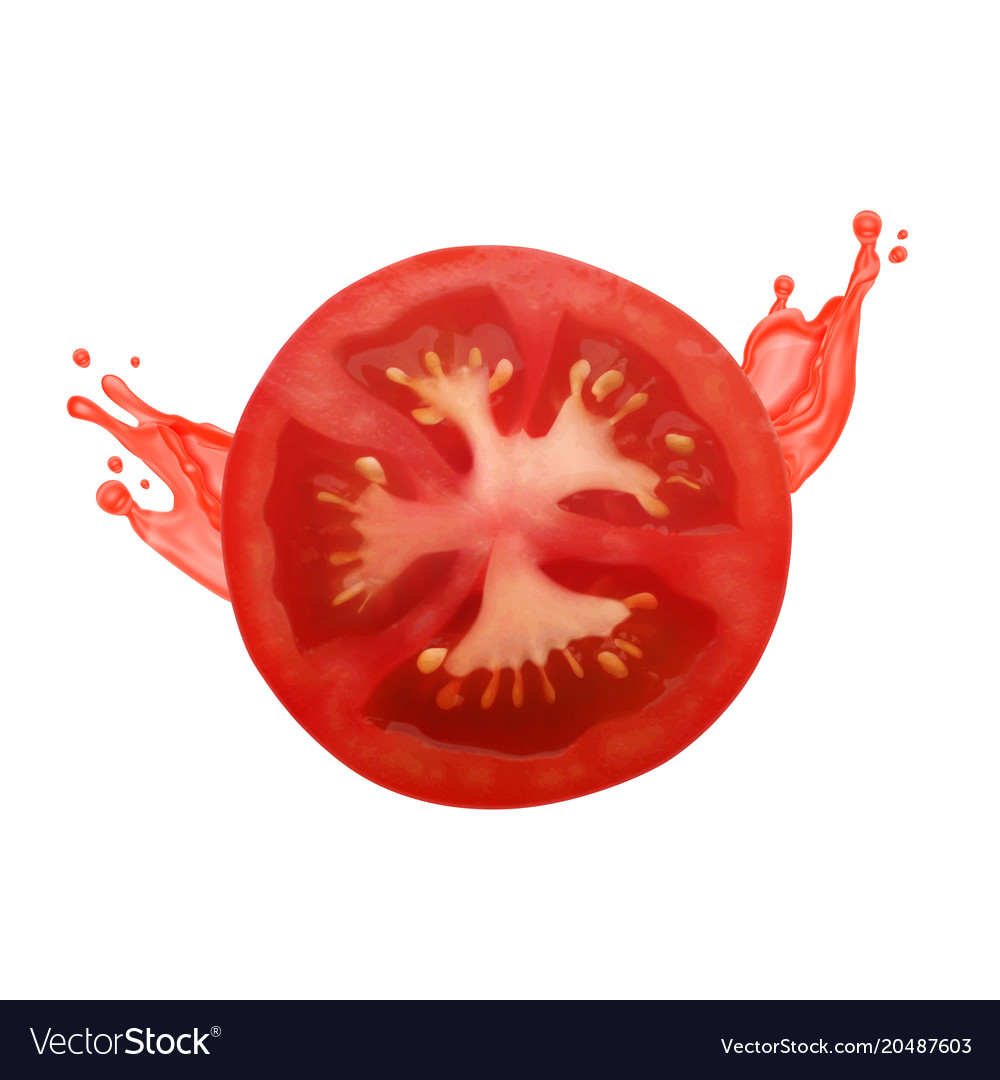 tomato slice with juice royalty free vector image