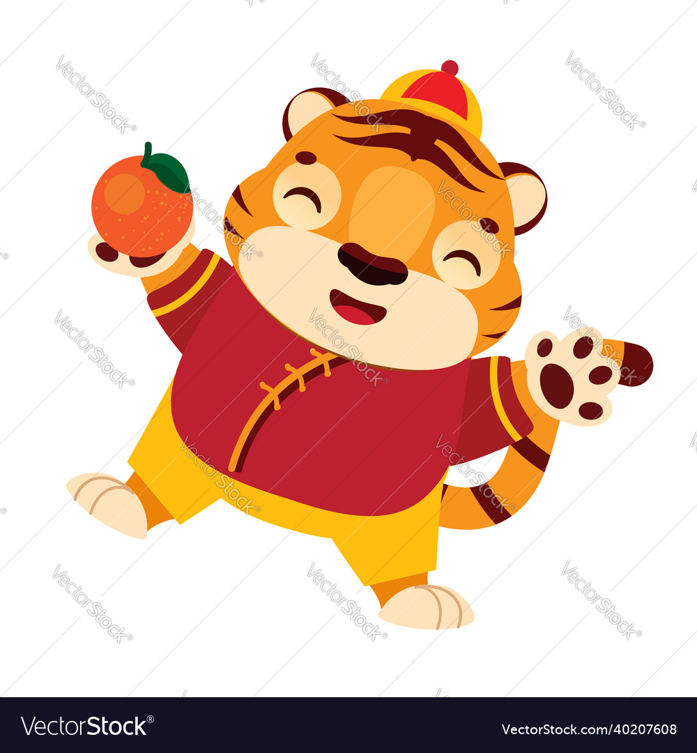 Cartoon chinese tiger with tangerine happy vector image Cartoon chinese tiger with tangerine happy