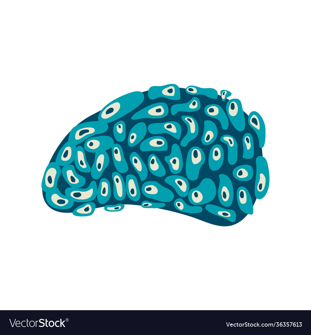 Blue brain coral sea life nature icon