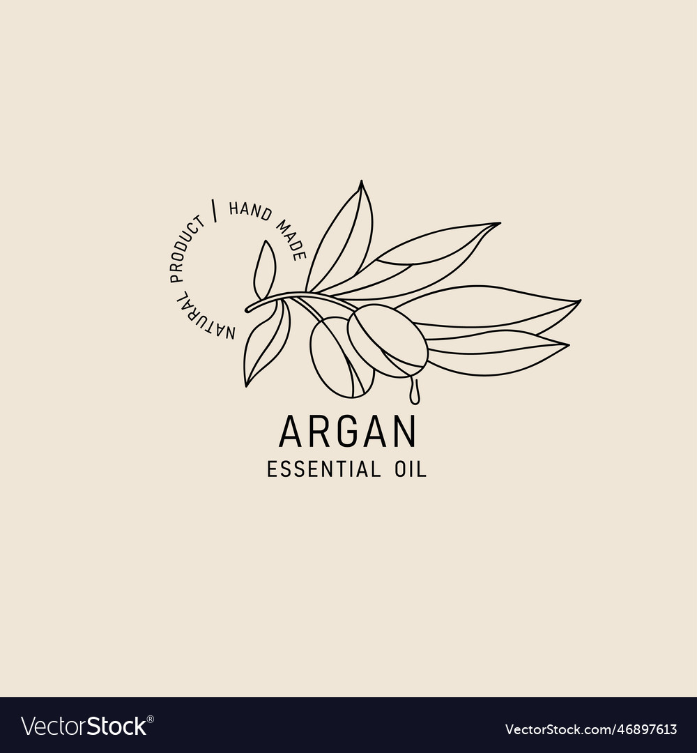 Packaging design element and icon in linear style vector image Packaging design element and icon in linear style