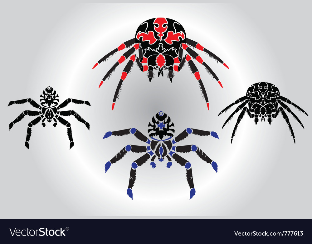 Spiders Royalty Free Vector Image Vectorstock