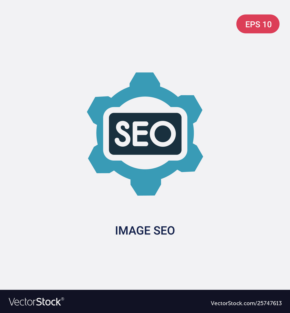 Two color image seo icon from programming concept vector image Two color image seo icon from programming concept