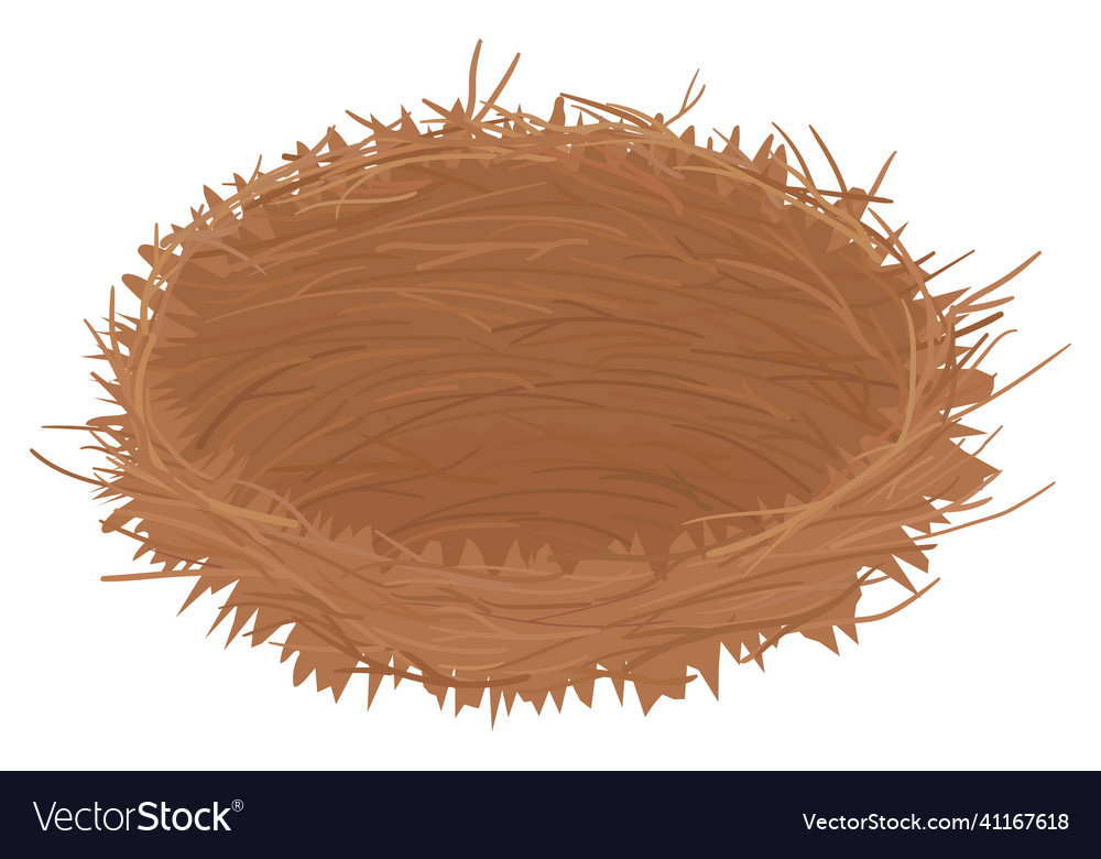 Empty bird nest from twigs isolated on white