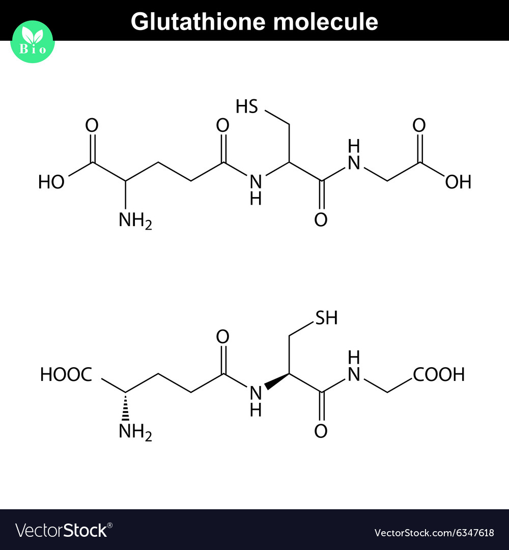 Glutathione Chemical Structure Royalty Free Vector Image 3205