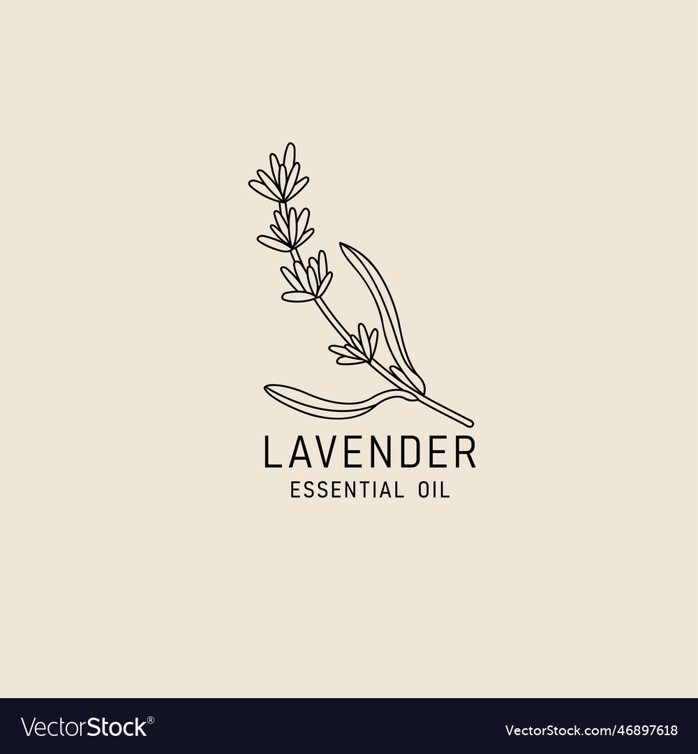 Packaging design element and icon in linear style vector image Packaging design element and icon in linear style