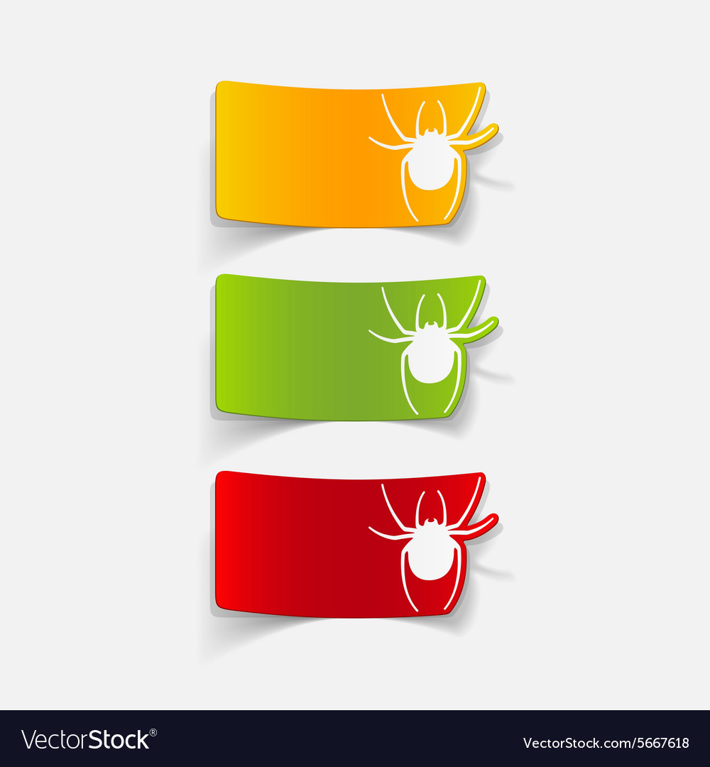 Realistic design element spider