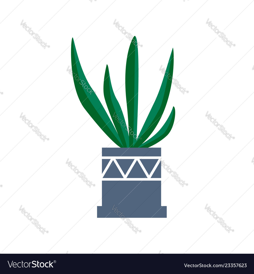 Exotische tropische Hauspflanze in einer Blumentopfwohnung vector image Exotische tropische Hauspflanze in einer Blumentopfwohnung