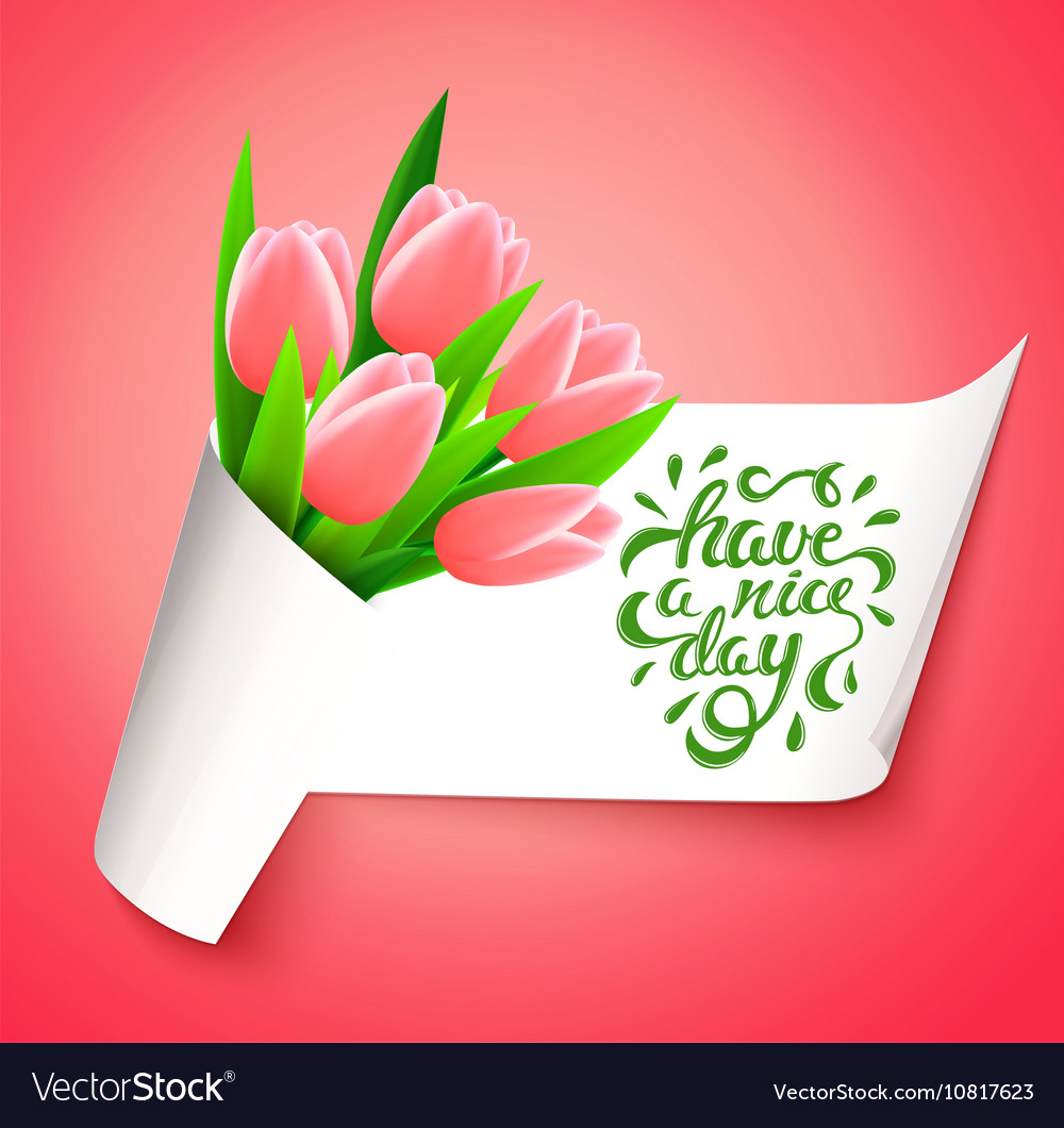 Have a nice day Royalty Free Vector Image - VectorStock