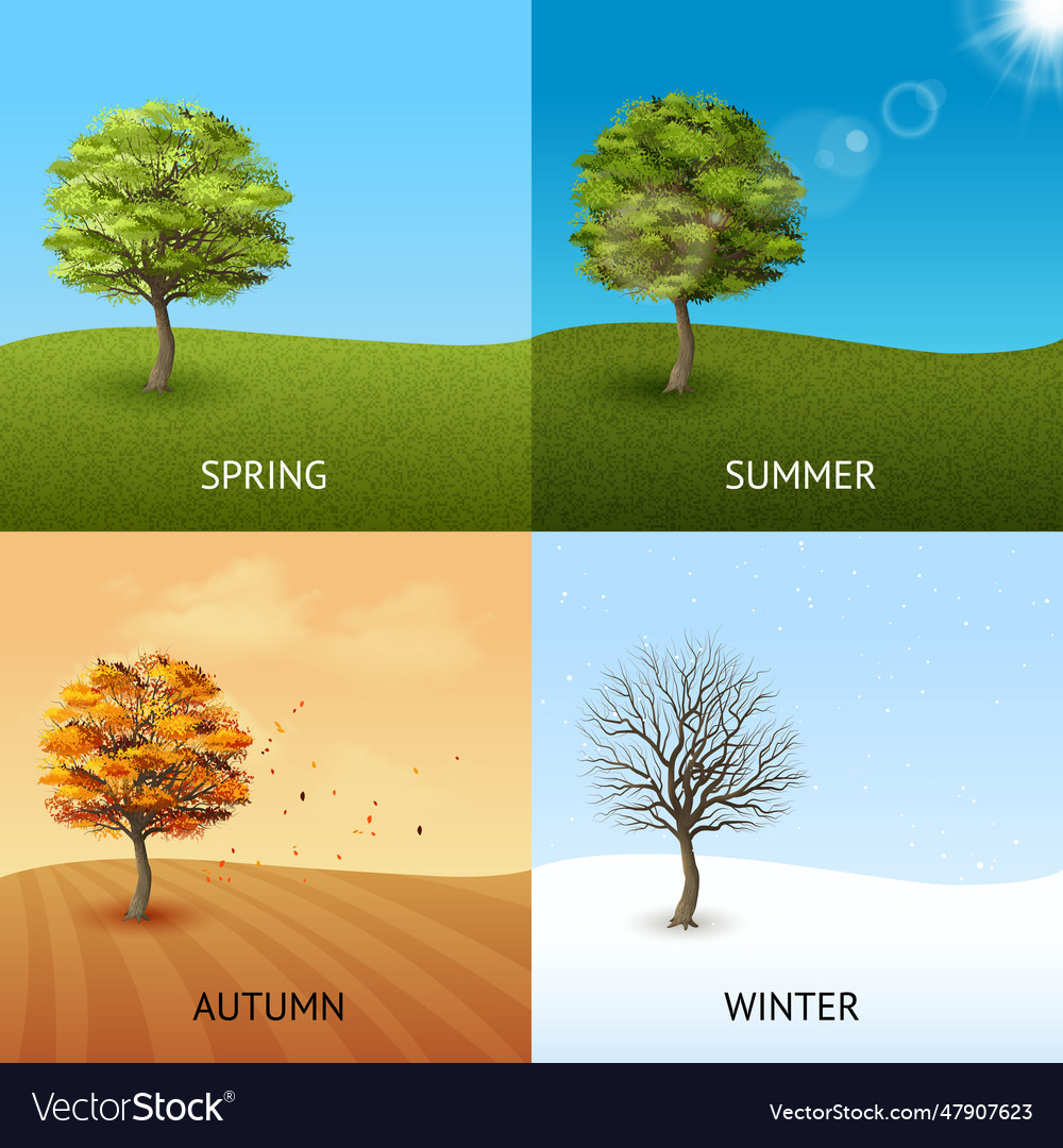 Tree concept set