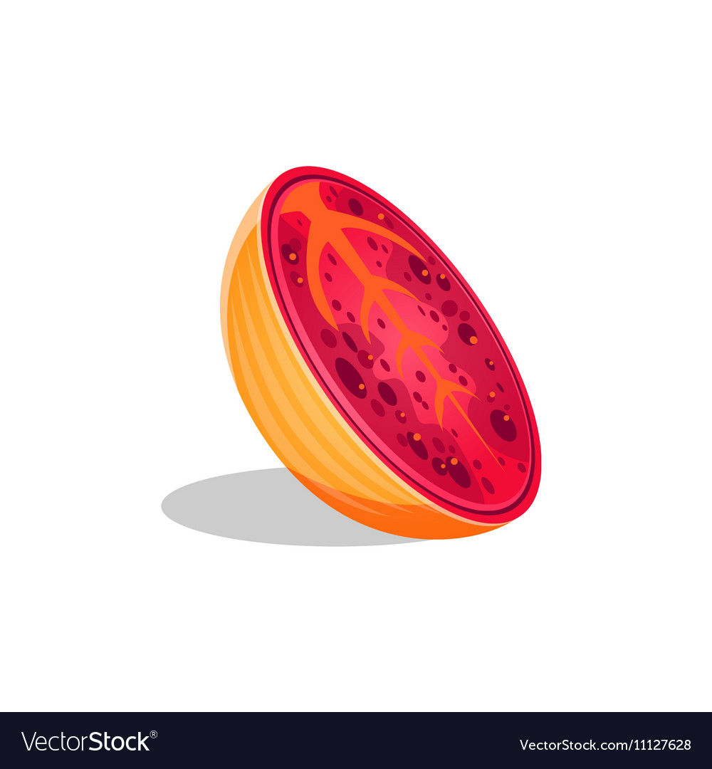 Papaya fruit cut in half bright icon