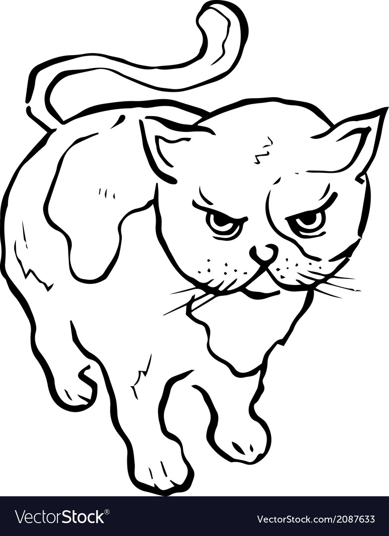 Angry Cat Black And White Drawing Vector Illustration Outline